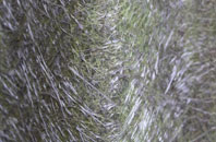 Edinample fibreglass roof work